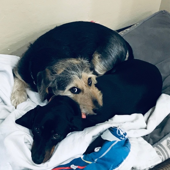 Meet your Posher, Arin - Picture 1 of 1